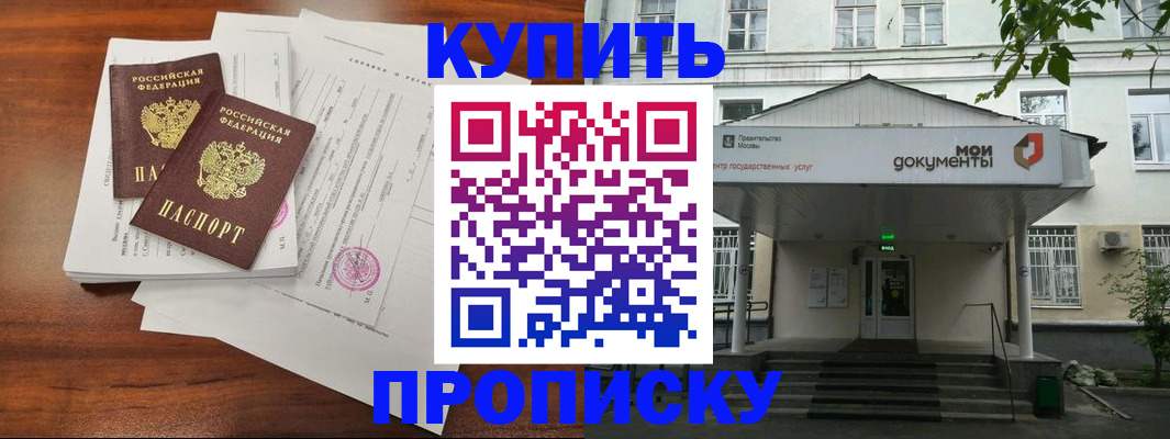 прописка для школы в Купино
